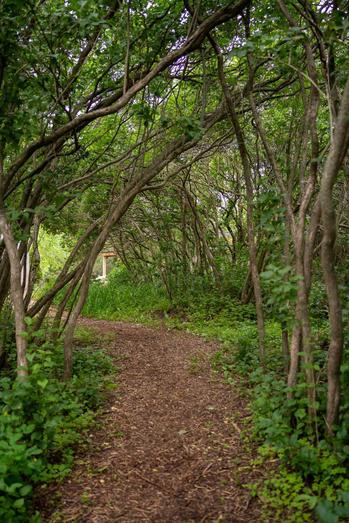 Owl'S Nest Suites Carrying Place Eksteriør bilde
